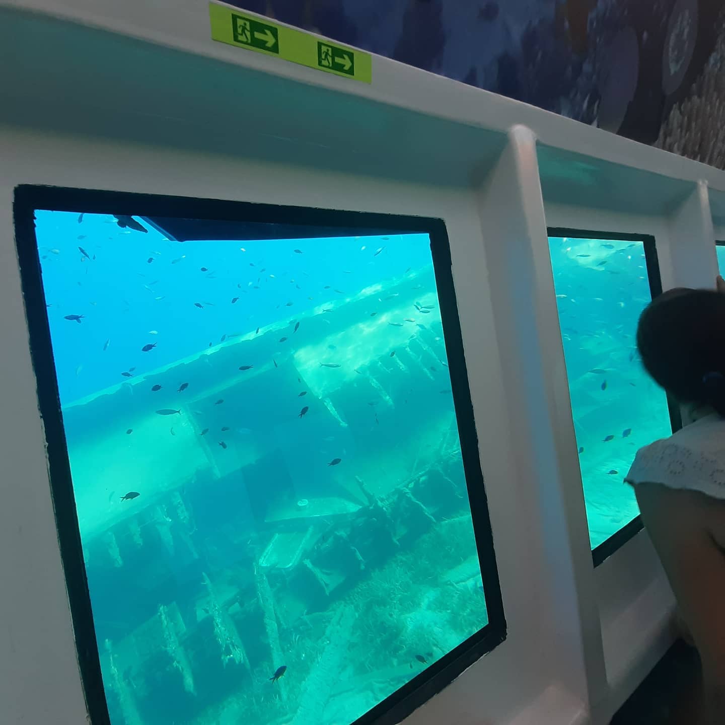 submarine 1