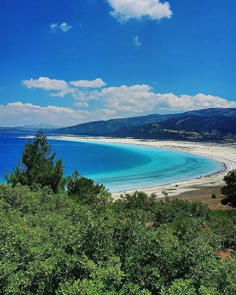 salda 4